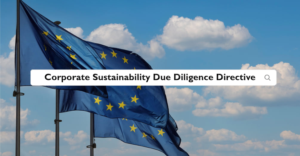 Aprobación de la Directiva sobre la Debida Diligencia de Sostenibilidad Corporativa (CSDDD) por el Parlamento Europeo: Un Paso Decisivo hacia la Sostenibilidad Corporativa