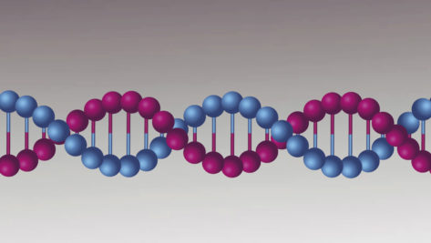 Infografia - Big data ADN organizacion eng