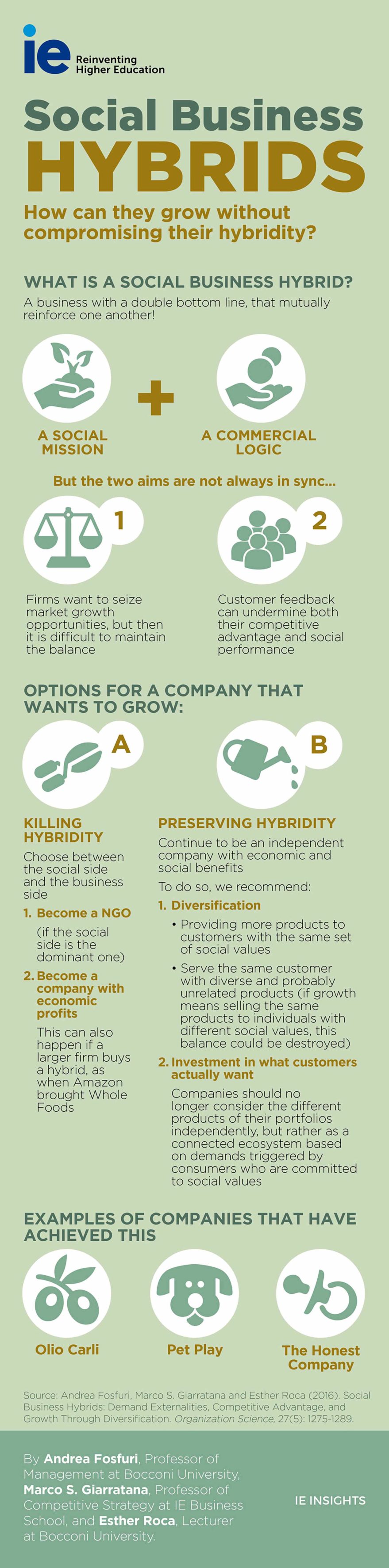 Sense and Sensibility of Social Business Hybrids | IE Insights